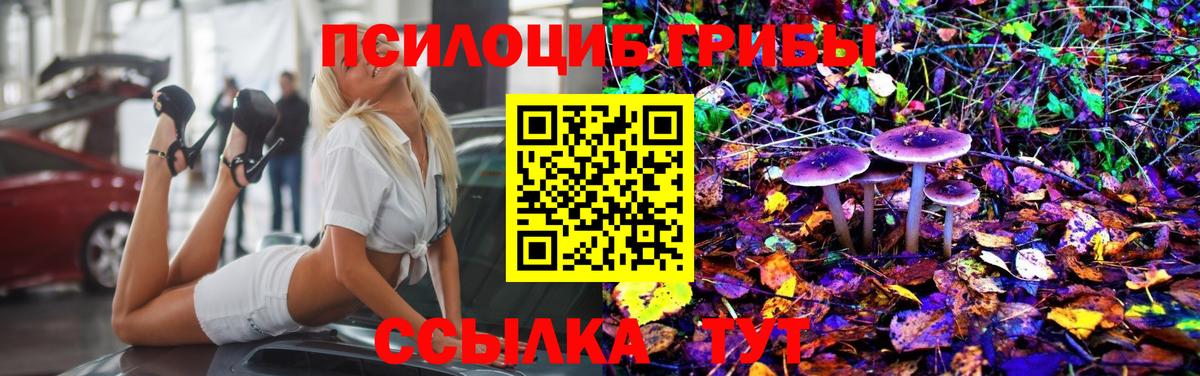 Галлюциногенные грибы MAGIC MUSHROOMS Касимов